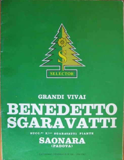 'Catalogo Benedetto Sgaravatti'  photo