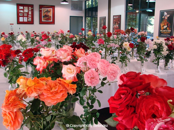 'Santa Clarita Valley Rose Society'  photo