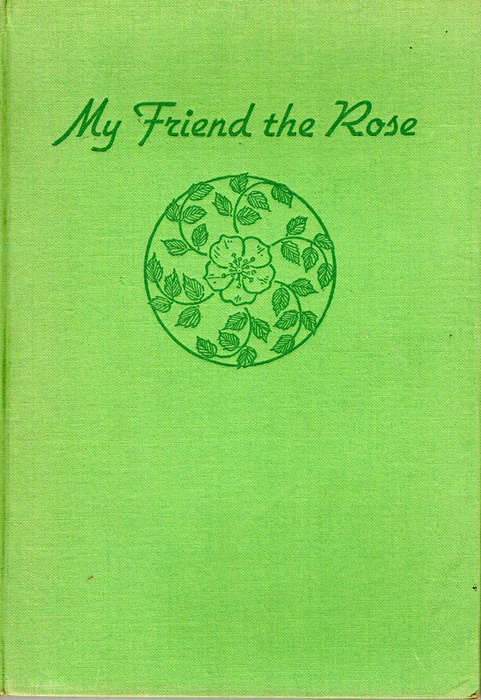 'My Friend The Rose'  photo