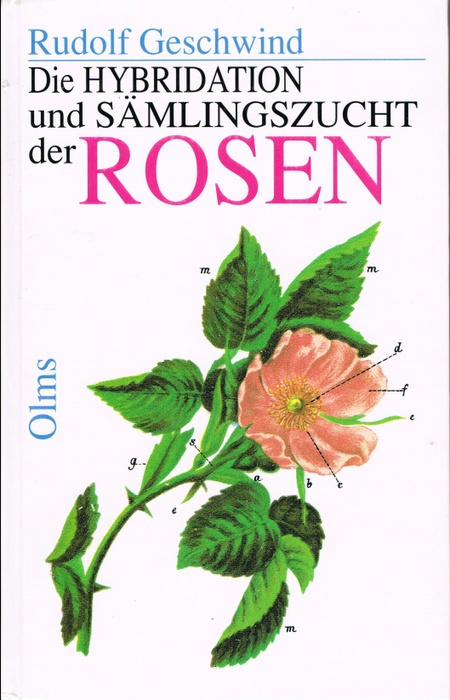 'Die HYBRIDATION und SÄMLINGSZUCHT der ROSEN'  photo