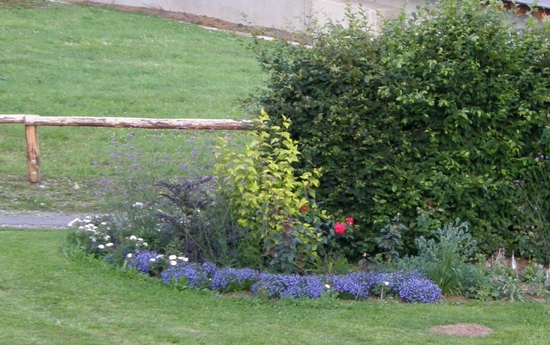 'Moje zahrada'  photo