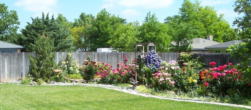 'ElGrillo's Clematis and Roses'  photo