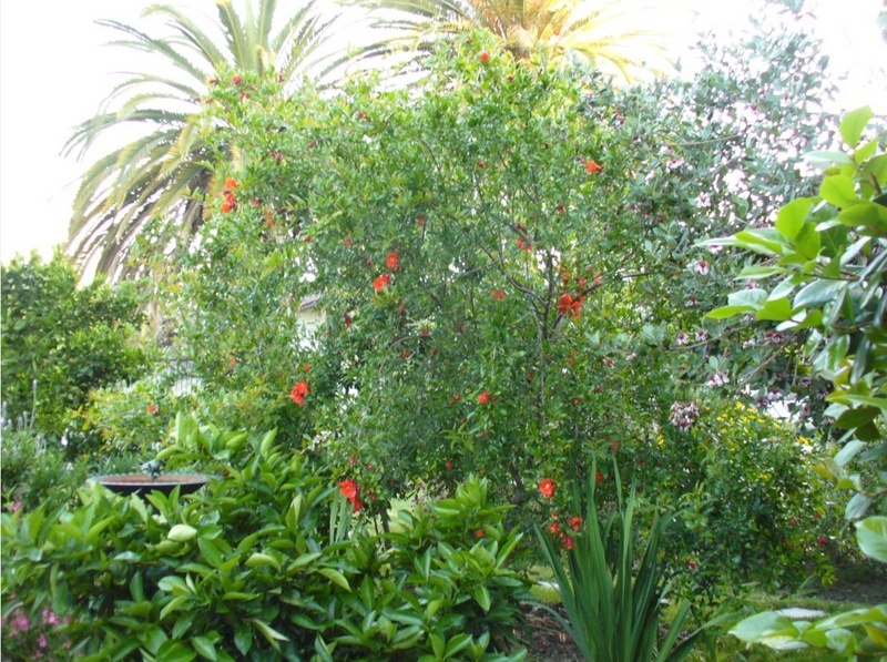 'Ma'ayan's Eden'  photo