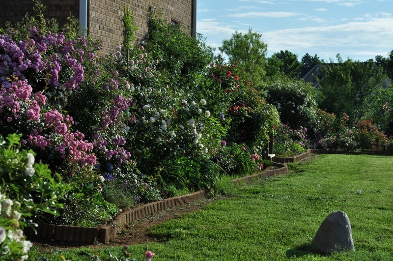 'Marina's Garden. Crawfordville, FL' , click to enlarge 'Marina's Garden. Crawfordville, FL'  photo