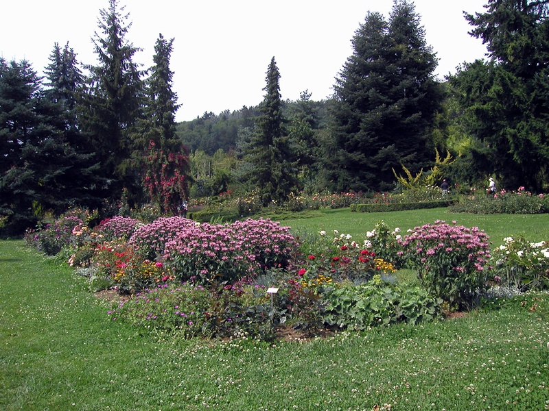 'Rosen Huber - Richard Huber AG - Schaugarten'  photo