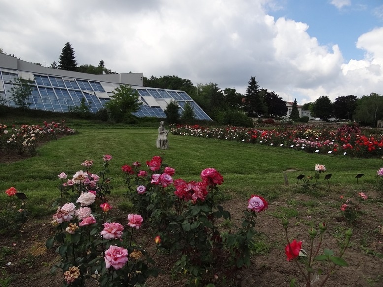 'Rose Garden Budatétény'  photo