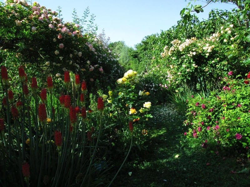 'Maddalena and Filippo 's garden'  photo