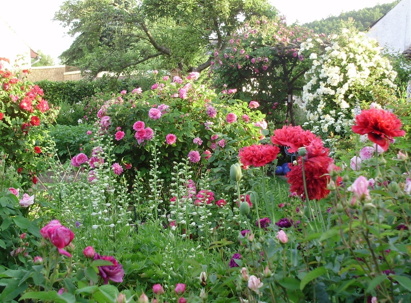'Andreas'Garten'  photo