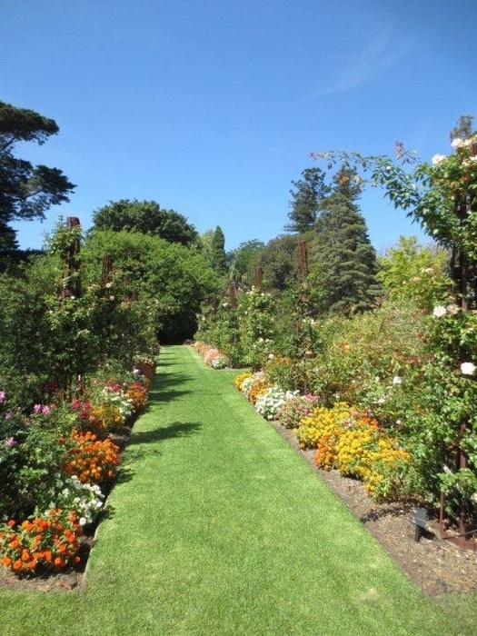 'Royal Botanic Gardens, Melbourne'  photo