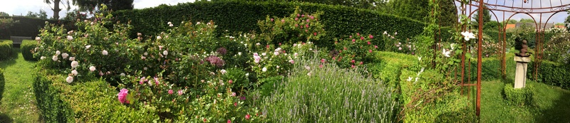 'Filroses garden'  photo