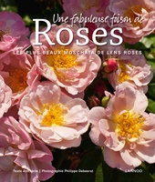'Une fabuleuse toison de Roses -Les plus beaux Moschata de Lens Roses'  photo