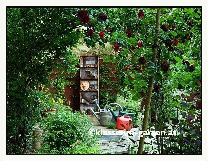 'Klasse Im Garten'  photo