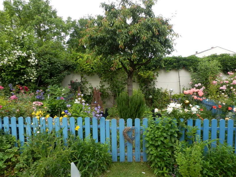 'Pannonian Garden'  photo