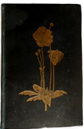 'The English Flower Garden (3rd Edition)'  photo