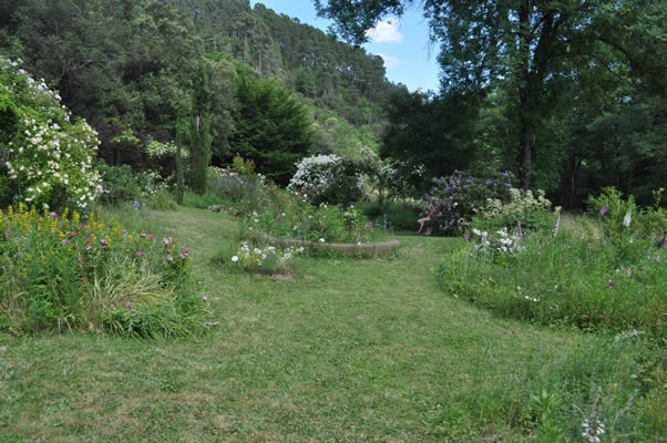 'Roseraie de Berty'  photo