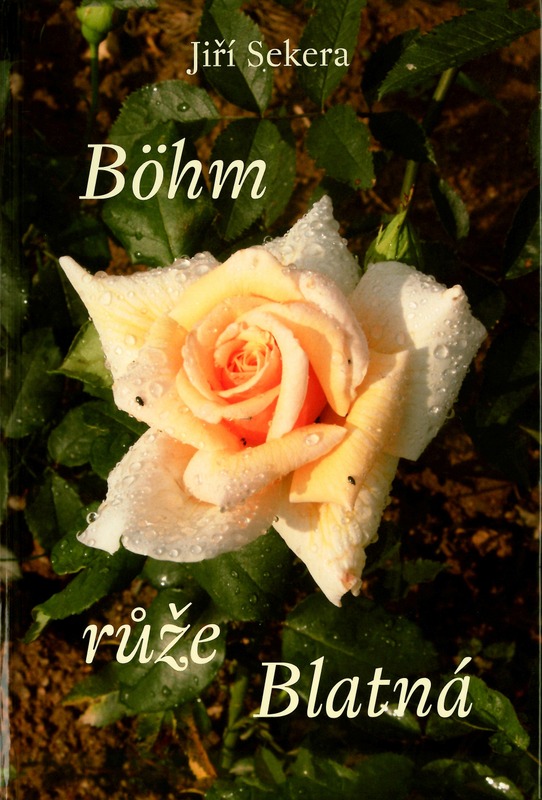 'Böhm růže Blatná'  photo