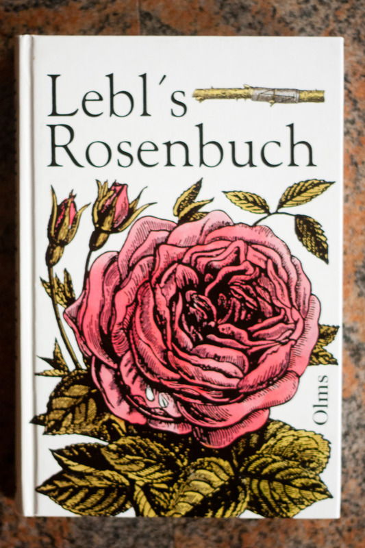 'Lebl's Rosenbuch'  photo
