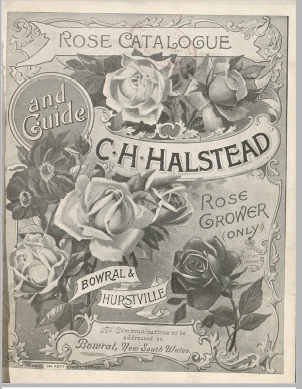 'C.H. Halstead, Rose Catalogue and Guide for 1904'  photo