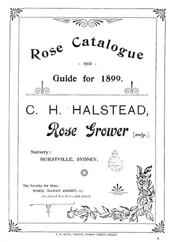 'C.H. Halstead, Rose Catalogue and Guide for 1899'  photo