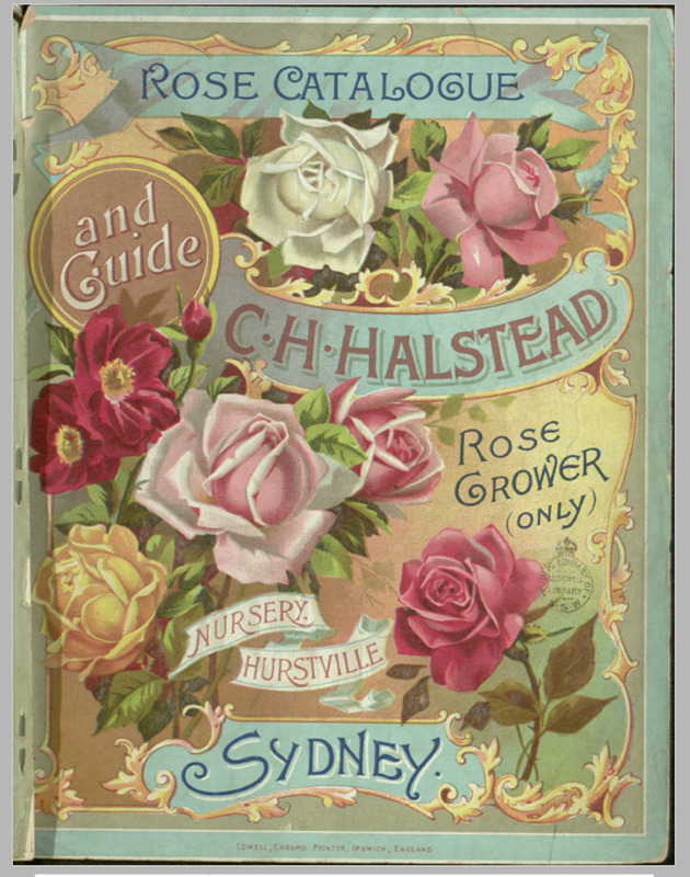 'C.H. Halstead, Rose Catalogue and Guide for 1899'  photo
