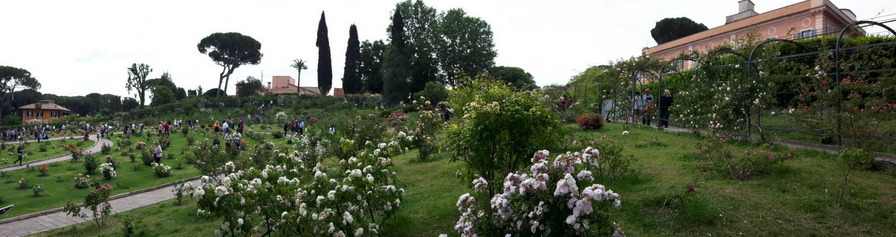 'Roseto Comunale Roma /Rome Municipal Rose Garden'  photo