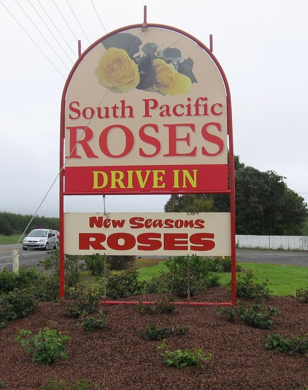 'South Pacific Roses Ltd.'  photo