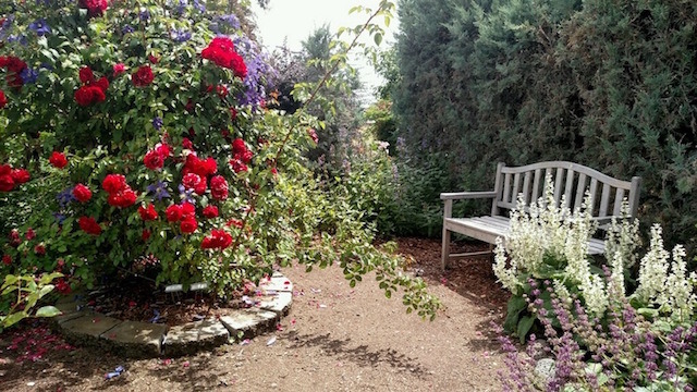 'Rosarium Garden Center - formerly Northland Rosarium' , click to enlarge 'Rosarium Garden Center - formerly Northland Rosarium'  photo