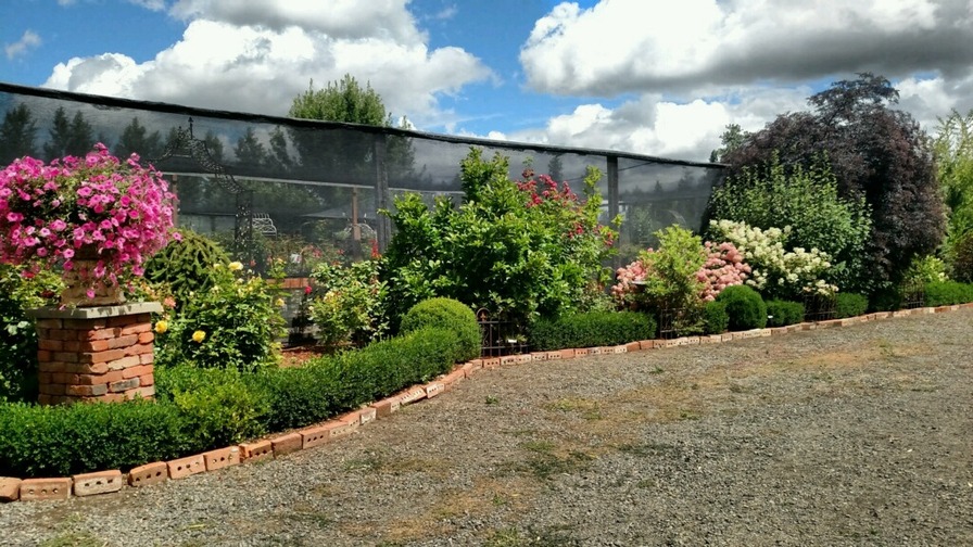 'Rosarium Garden Center - formerly Northland Rosarium'  photo