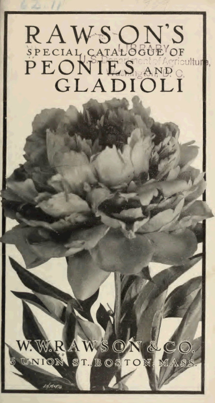 'Rawson's Special Catalogue of Peonies and Gladioli'  photo