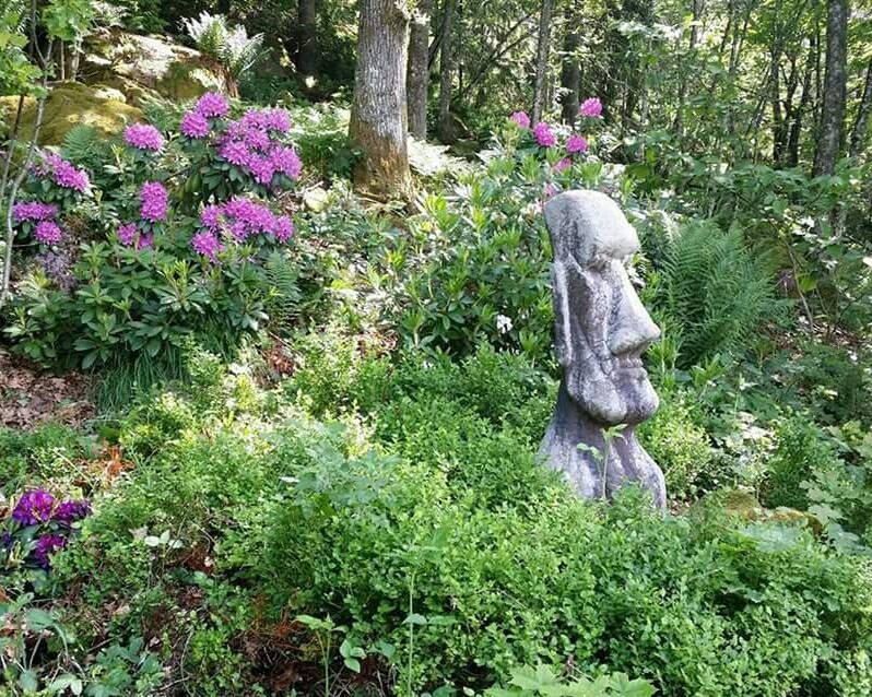 'Camilla's Garden'  photo