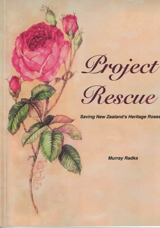 'Project Rescue.  Saving New Zealand's Heritage Roses'  photo