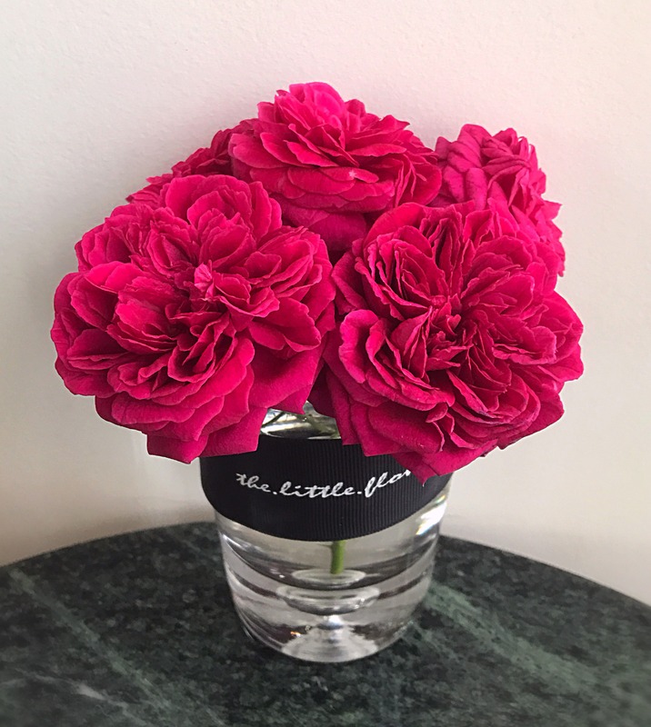 'William Shakespeare 2000 ™ (shrub, Austin 1994)' rose photo