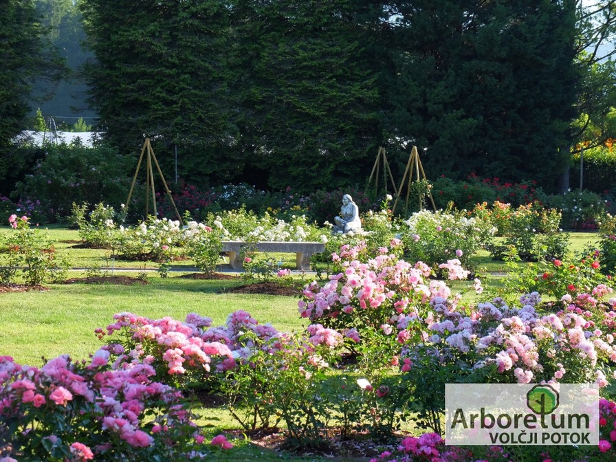 'Arboretum Volcji Potok Official Site'  photo