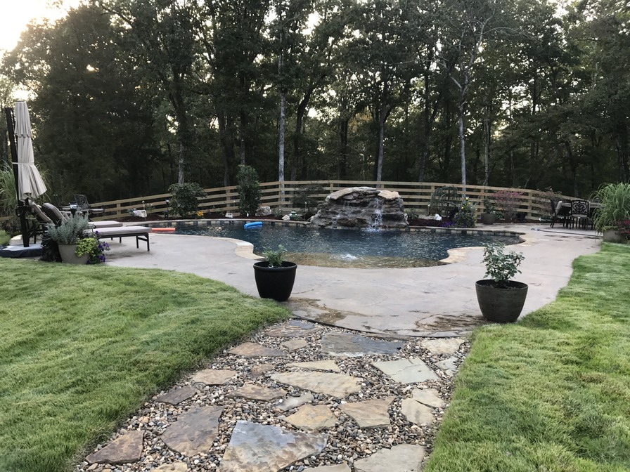 'My Garden'  photo