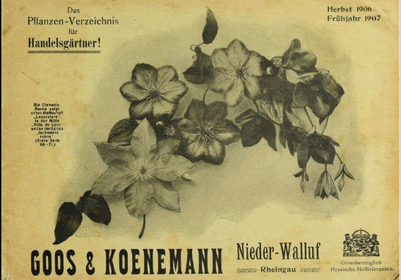 'Goos & Koenemann Das Pflanzen-Verzeichnis für Handelsgärtner'  photo
