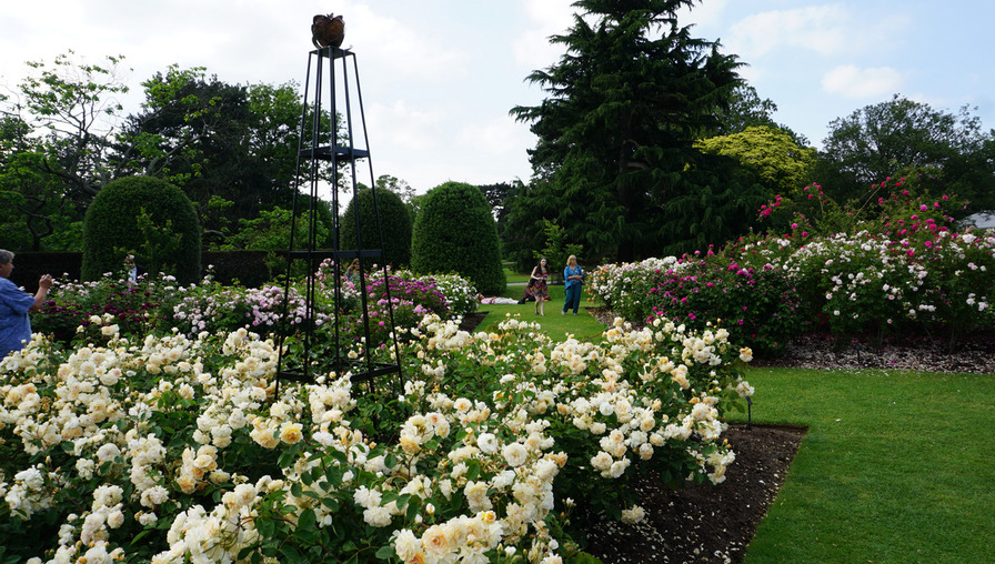 'Royal Botanic Gardens, Kew'  photo
