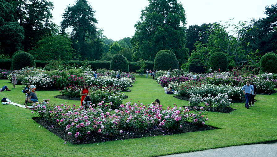 'Royal Botanic Gardens, Kew'  photo