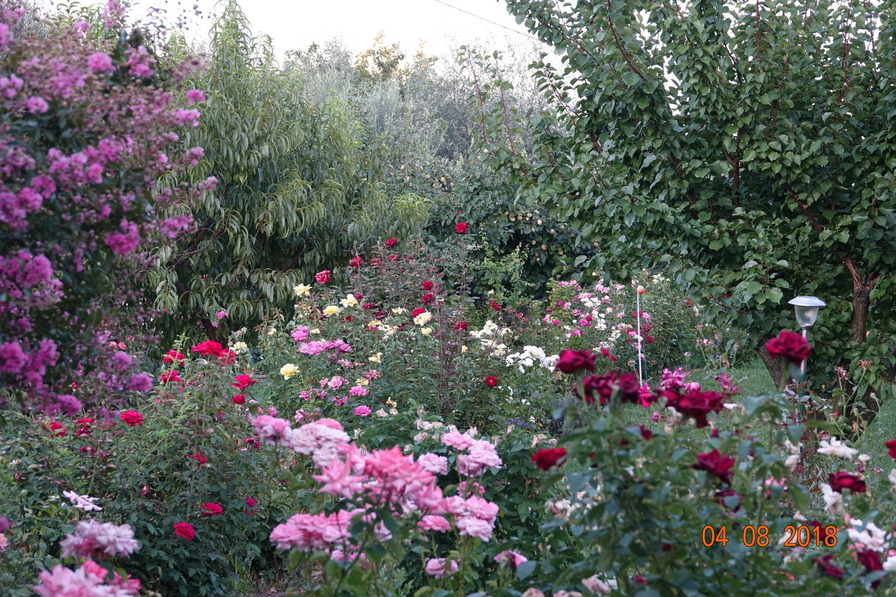 'My garden - Rožni vrt 