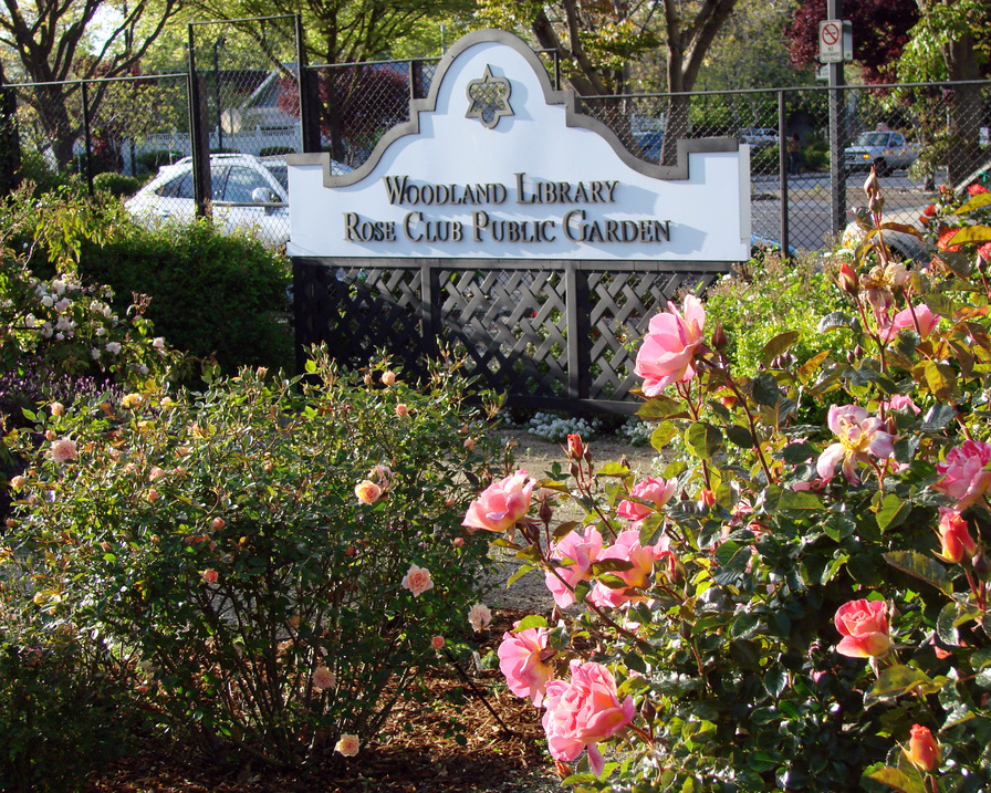 'Woodland Library Rose Club Garden'  photo