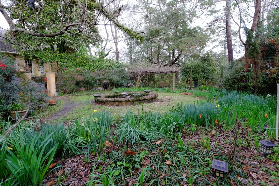 'Denham House Garden,  zone 8b'  photo
