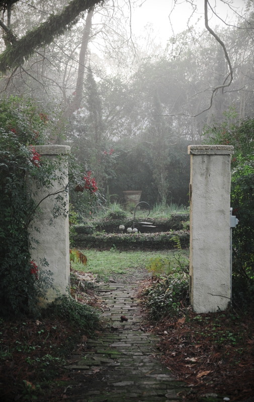 'Denham House Garden,  zone 8b' , click to enlarge 'Denham House Garden,  zone 8b'  photo