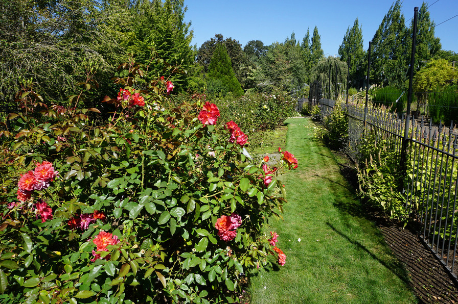 'Oregon Garden'  photo