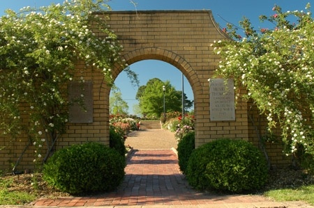 'Tyler Municipal Rose Garden'  photo