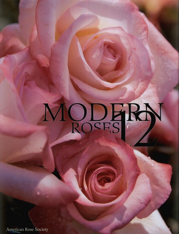 'Modern Roses 12'  photo