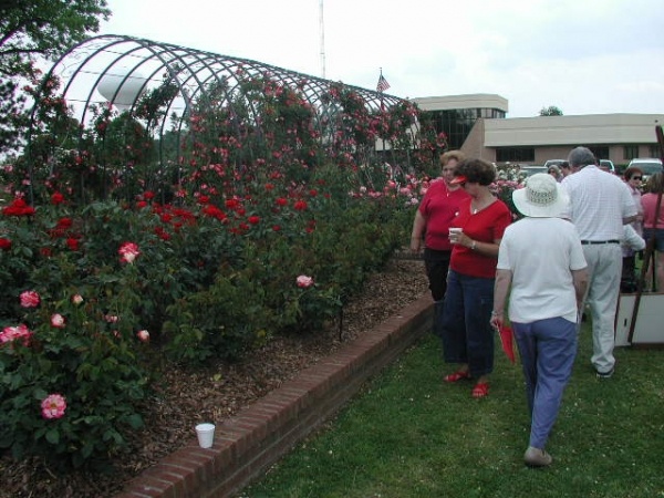 'Wilson Rose Garden'  photo