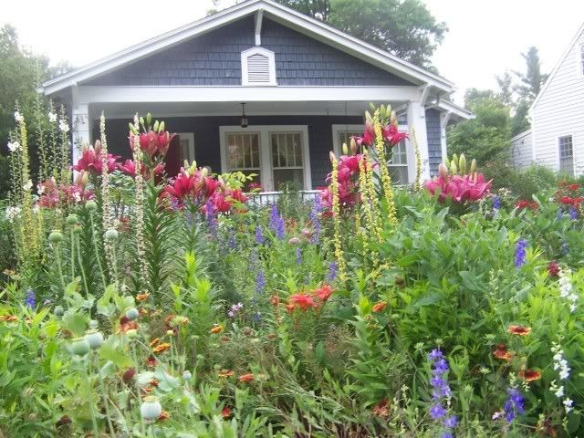 'Frogview Cottage Garden'  photo