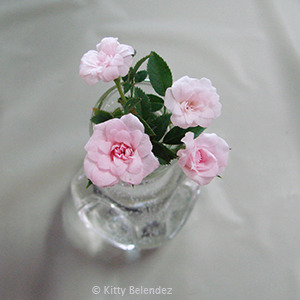 'Si (miniature, Dot, 1957)' rose photo