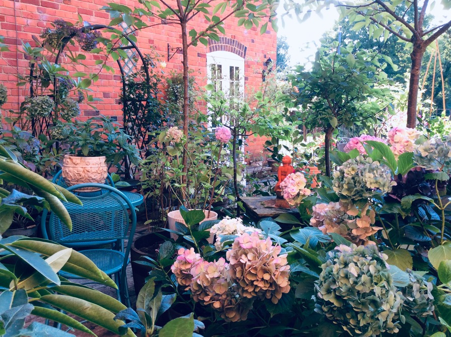 'Hamanasu's garden'  photo