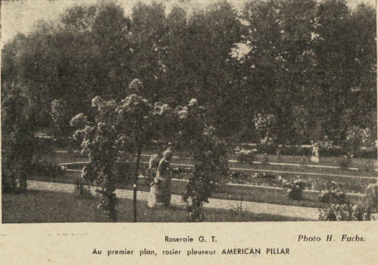 'Georges Truffaut' , click to enlarge 'Georges Truffaut'  photo