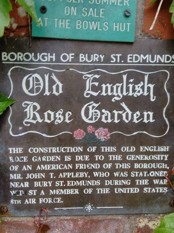 'Old English Rose Garden, Bury St Edmunds'  photo